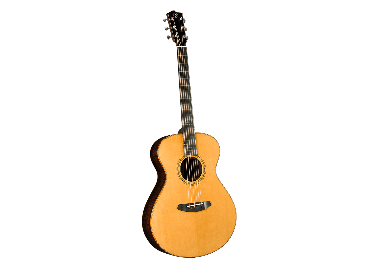COLLECTOR Concert COC-ERVTe