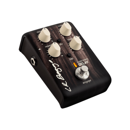 LR Baggs Align Series Delay