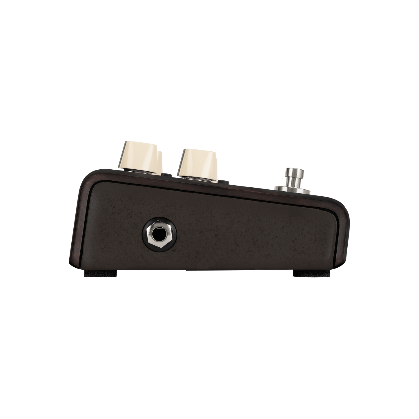 LR Baggs Align Series Delay