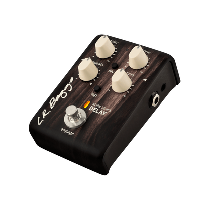 LR Baggs Align Series Delay