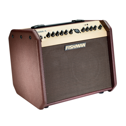 Fishman Loudbox Mini Amp