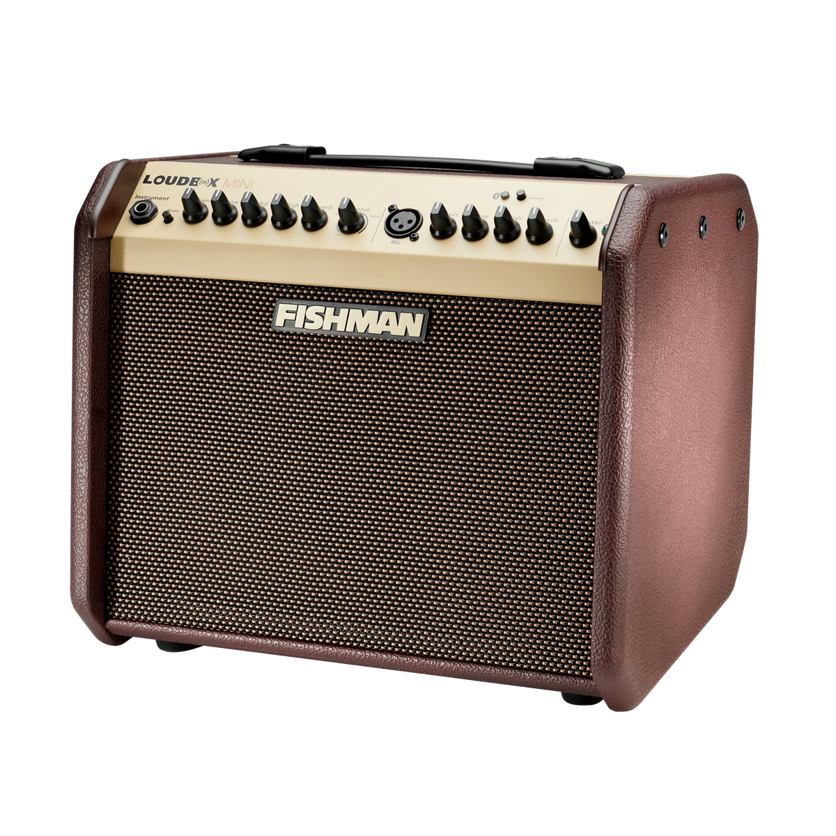 Fishman Loudbox Mini Amp