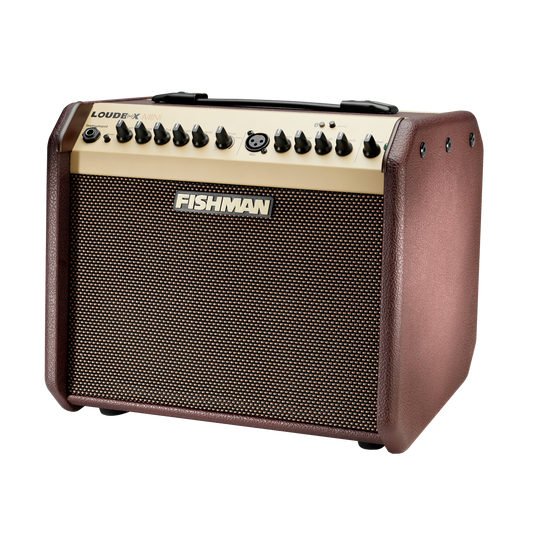 Fishman Loudbox Mini Amp