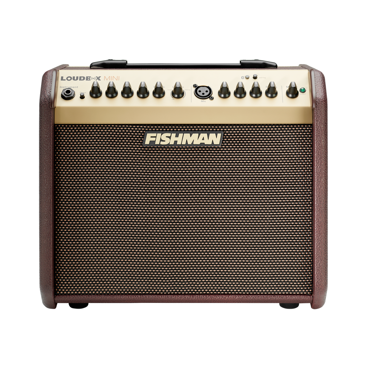 Fishman Loudbox Mini Amp