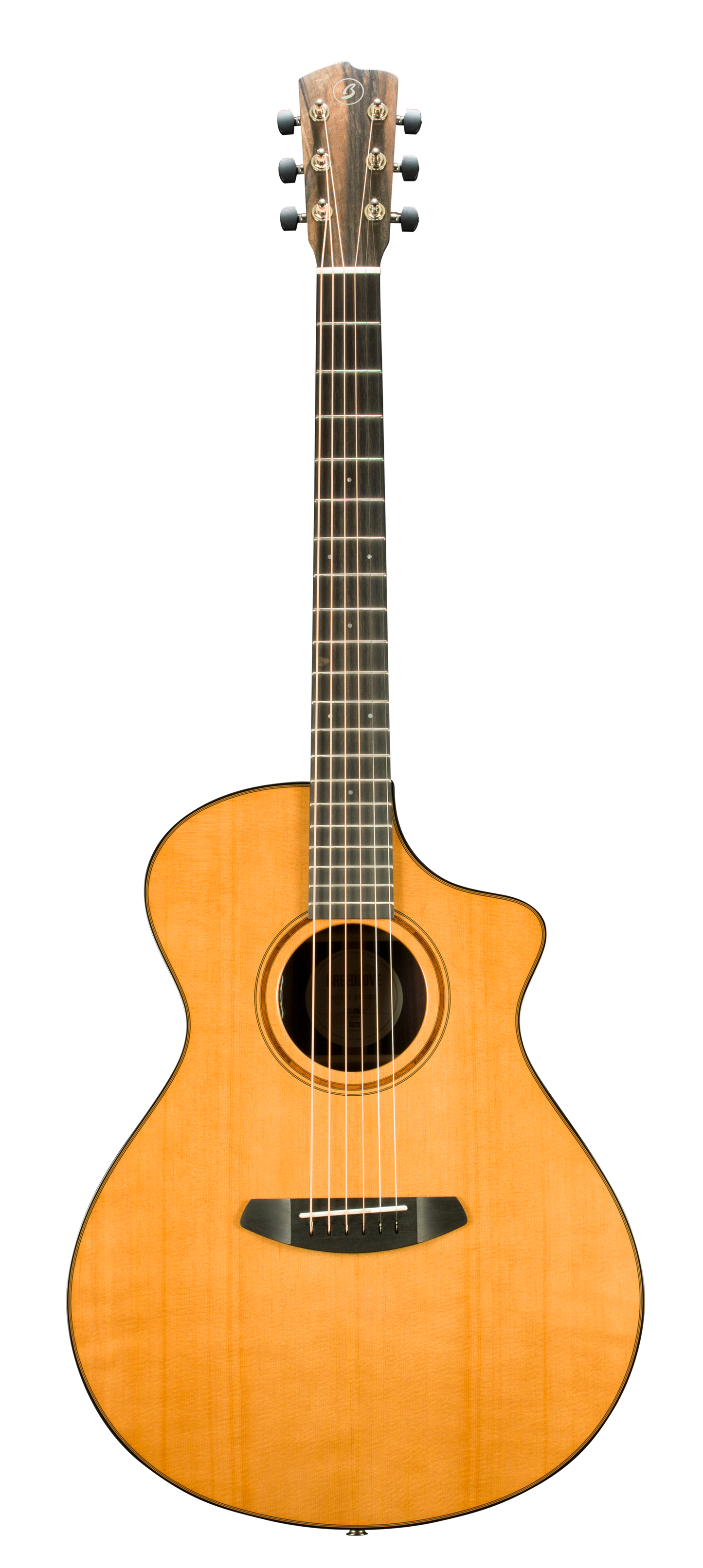 Roots Concert RTC-SRce