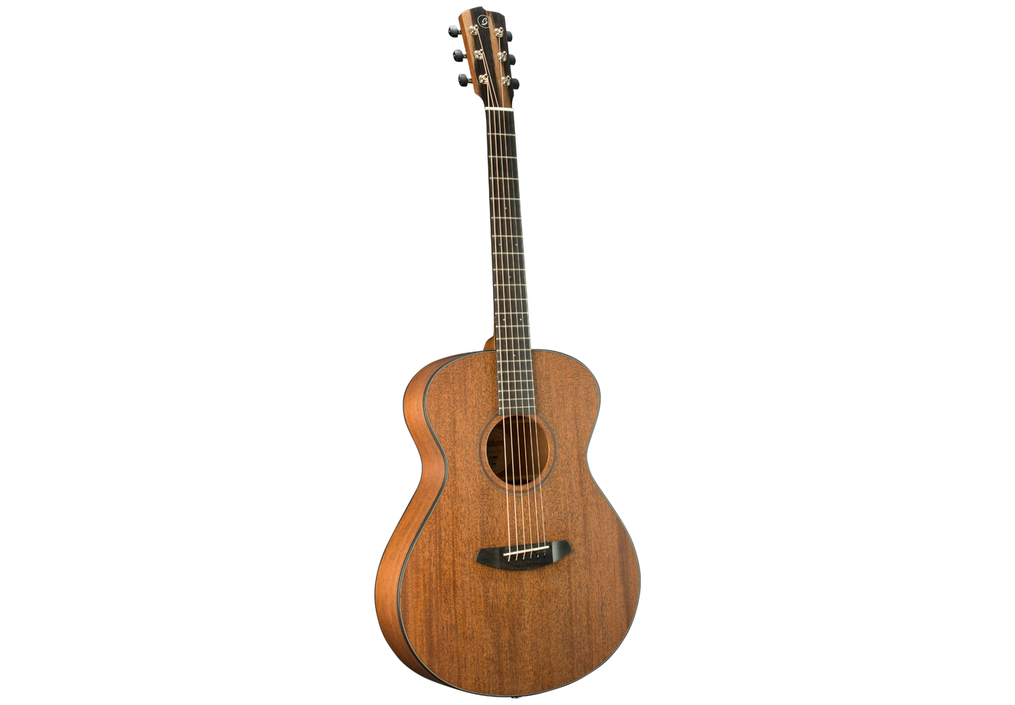 Roots Concert RTC-MMe