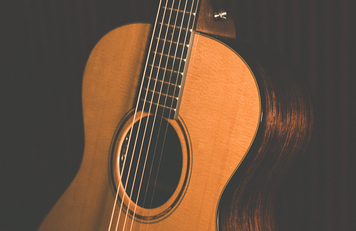 BAGS AND CASES – Breedlove Guitars
