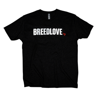 Black Breedlove Distressed