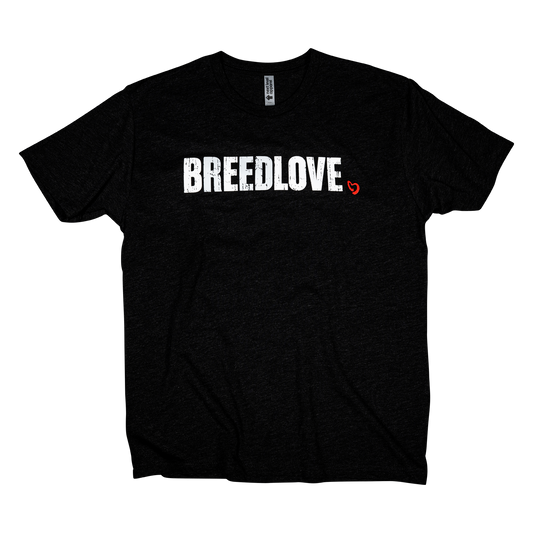 Black Breedlove Distressed